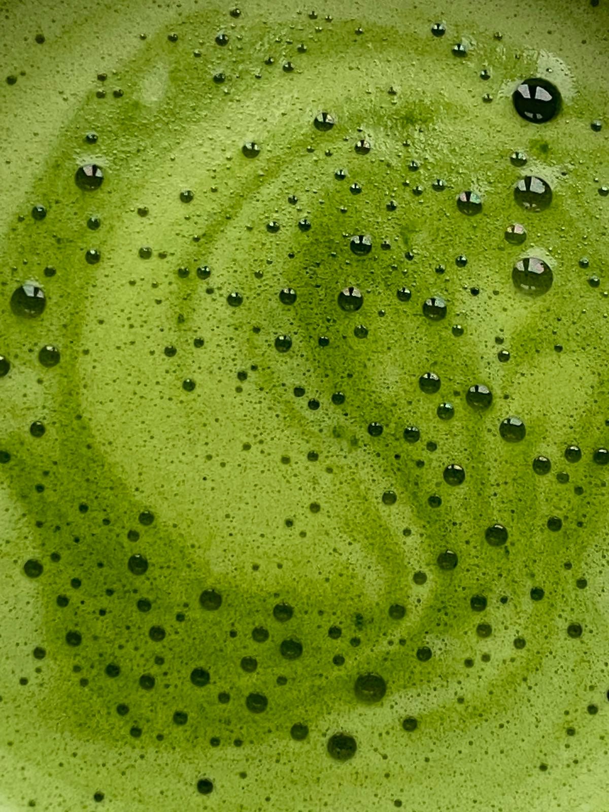 Matcha Bowl Jafar - L'art Du Matcha